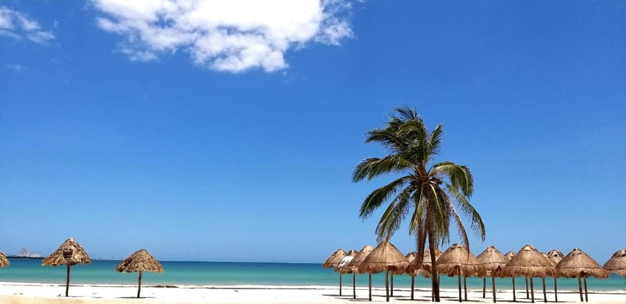 Hotel & Suites Domani Progreso  Zewnętrze zdjęcie