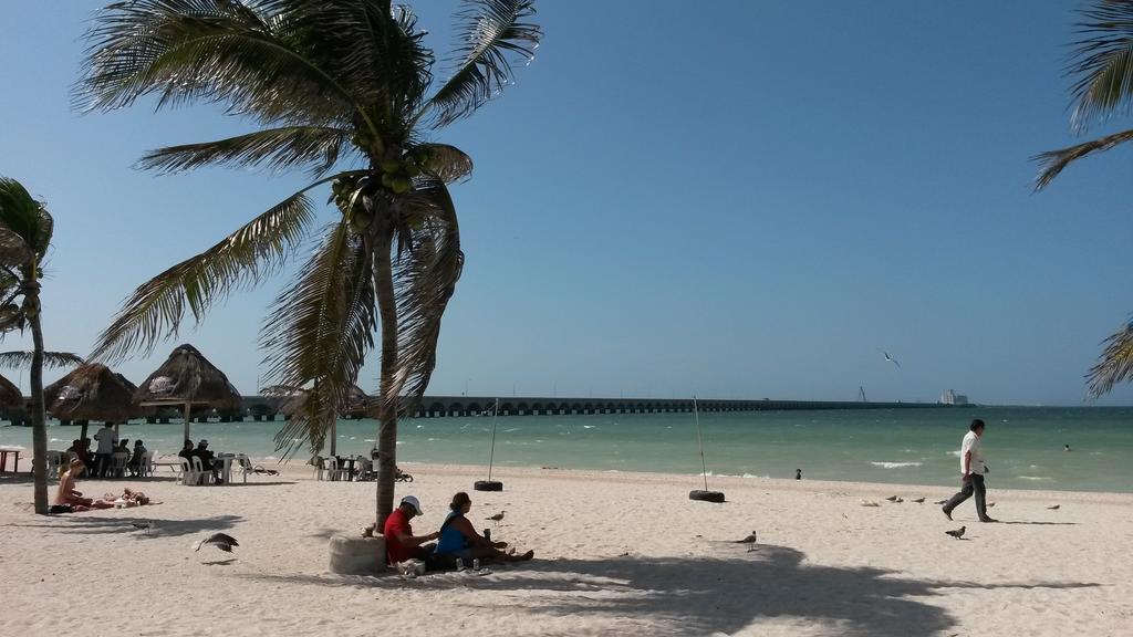 Hotel & Suites Domani Progreso  Zewnętrze zdjęcie